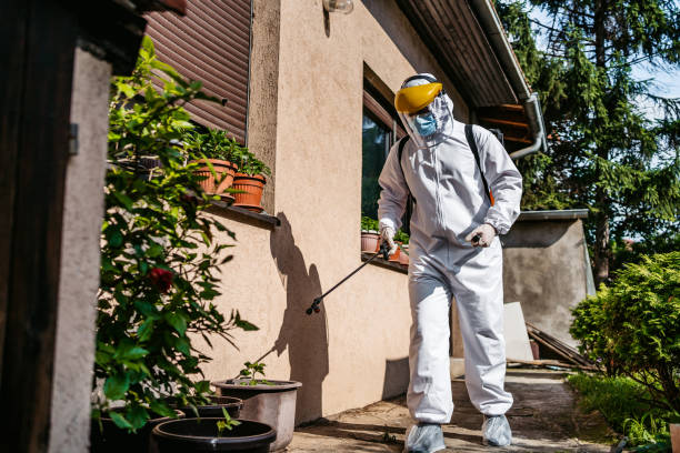Best Insect Control  in Stockdale, TX