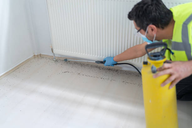 Best Pest Control Near Me in Stockdale, TX