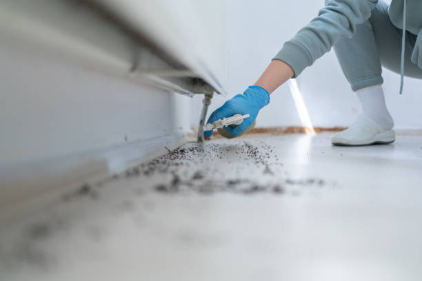 Best Pest Prevention Services  in Stockdale, TX